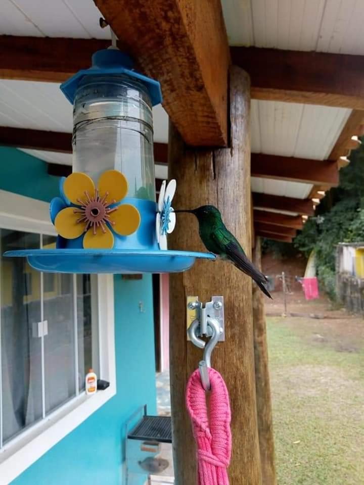 Chalé Canto do Galo Ilhabela Exterior foto